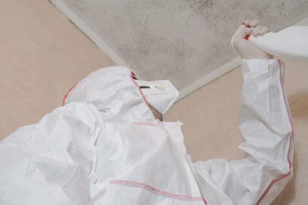 Best Mold Testing  in Pennside, PA